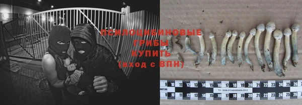 спиды Александровское