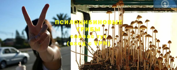 jwh Дмитриев