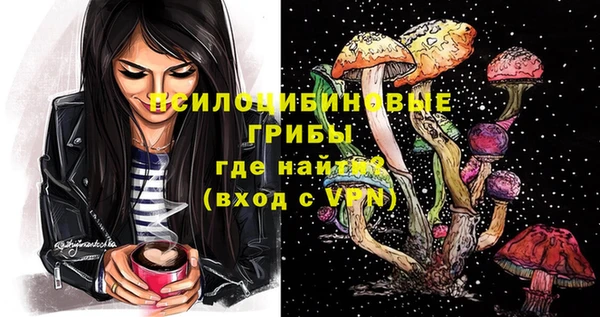 каннабис Дмитров