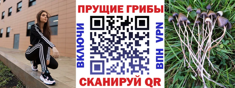 маркетплейс какой сайт  Назарово  Галлюциногенные грибы прущие грибы 