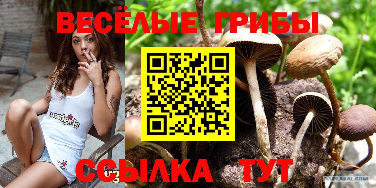 Псилоцибиновые грибы Magic Shrooms  Назарово  Галлюциногенные грибы мицелий 