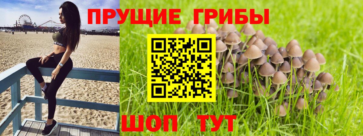 Назарово  Галлюциногенные грибы GOLDEN TEACHER  Вход с VPN 